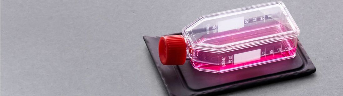 cell culture flask, filled with a pink media in grey background